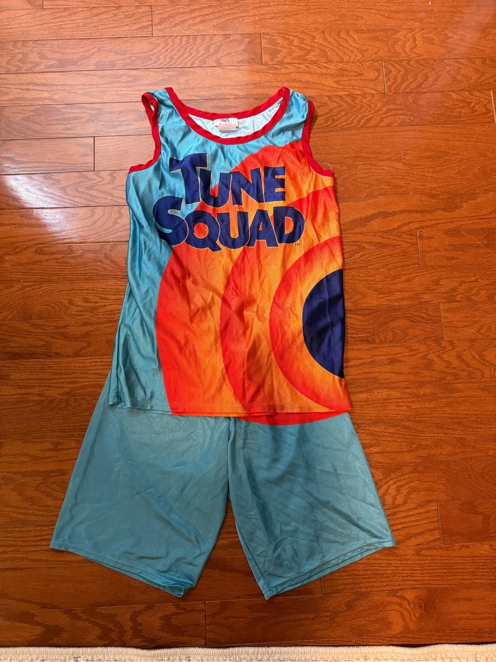 Space Jam Costume